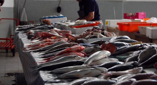 Il modo migliore per conservare il pesce fresco