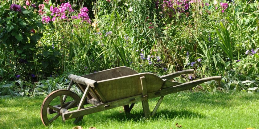 Il segreto per fertilizzare il terreno di orto e giardino