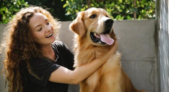 La razza di cane più amata dagli italiani