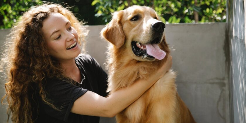 La razza di cane più amata dagli italiani