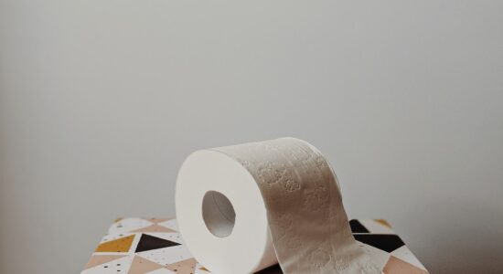 Perchè mettere la carta igienica in auto