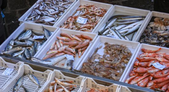 Pesce ricco di proteine