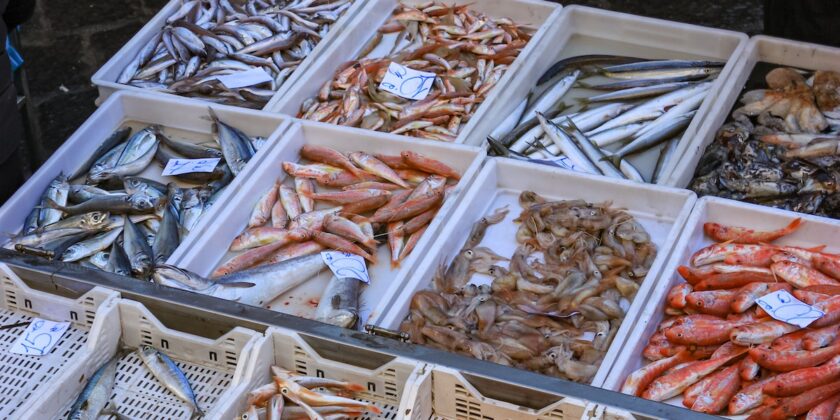 Pesce ricco di proteine