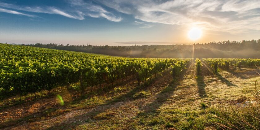 Terreni agricoli agevolati domanda in scadenza