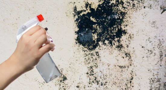 Un metodo casalingo per togliere la muffa