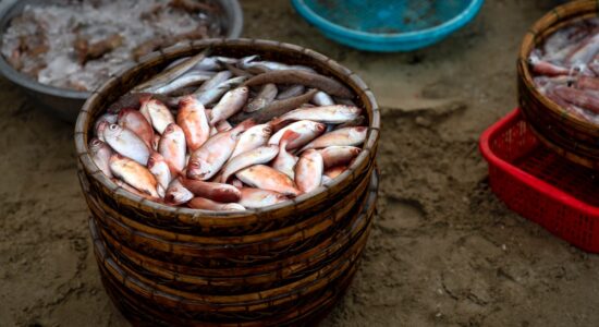 Un piatto di pesce economico e gustoso