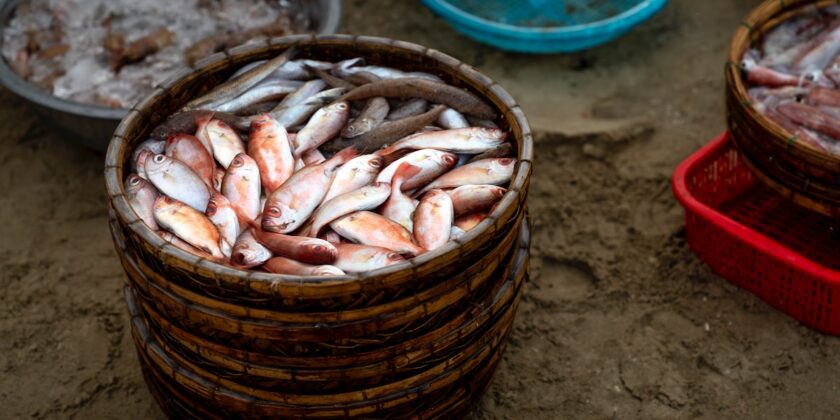 Un piatto di pesce economico e gustoso