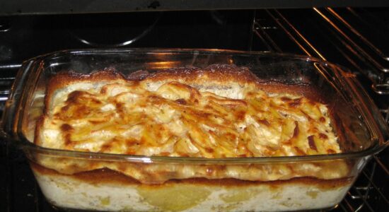 Come cucinare con il forno gratis