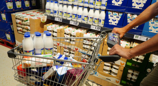 Chi produce latte, derivati e formaggi dei discount-proiezionidiborsa.it