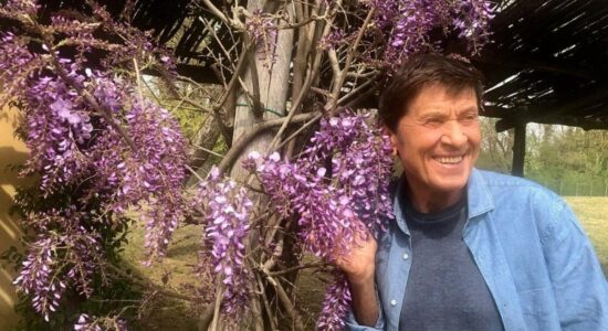Cresce velocemente questa pianta rampicante che incanta nel giardino di Gianni Morandi