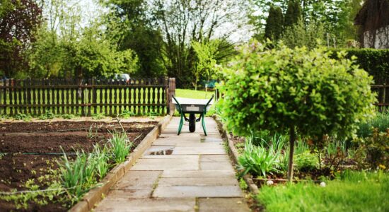 Fare l'orto e curare il giardino torna di moda