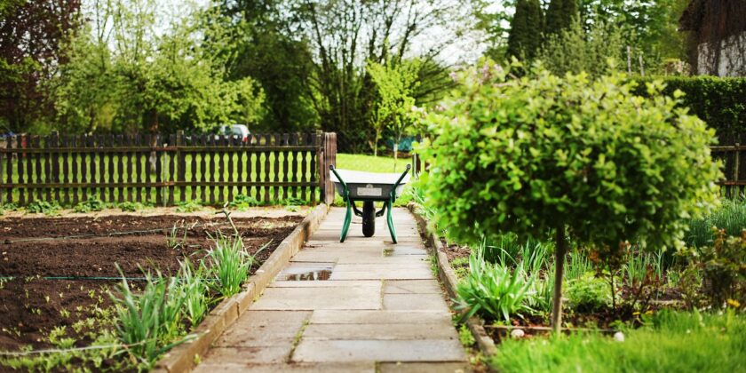 Fare l'orto e curare il giardino torna di moda
