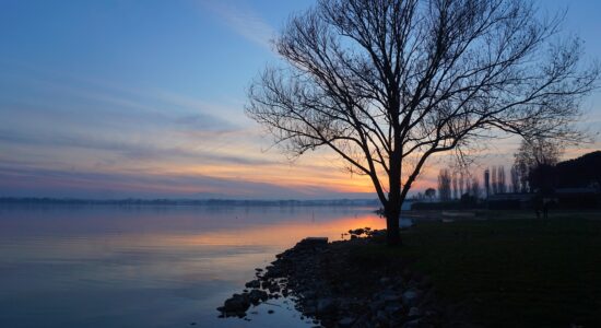 Il Trasimeno è il lago più grande del centro Italia-proiezionidiborsa.it