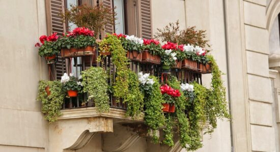 Proteggi le piante sul balcone con un rimedio naturale