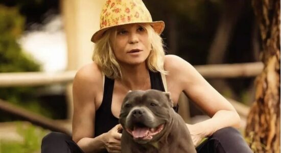Razza di cane che ha conquistato il cuore di Maria De Filippi