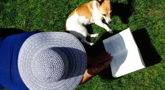 Sono famosissimi questi 3 libri da leggere