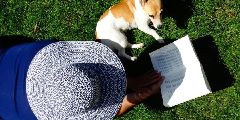 Sono famosissimi questi 3 libri da leggere