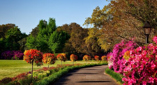 Sono questi i 3 giardini da visitare ad aprile