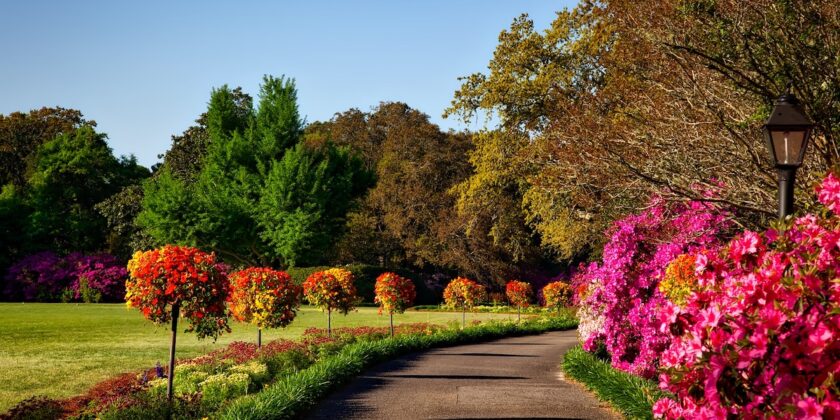 Sono questi i 3 giardini da visitare ad aprile