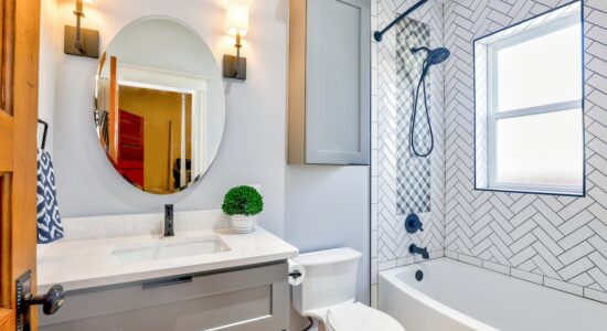5 piante bellissime per arredare un bagno piccolo o grande-proiezionidiborsa.it