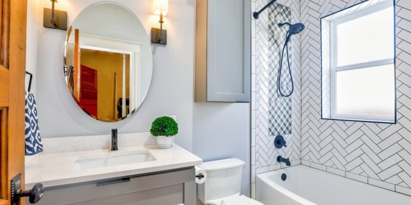 5 piante bellissime per arredare un bagno piccolo o grande-proiezionidiborsa.it