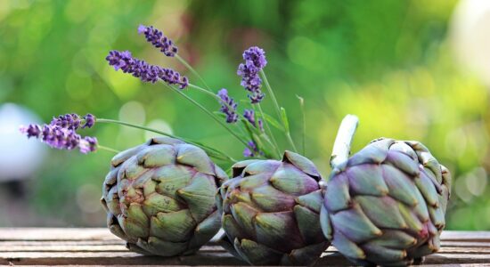 Aiutare fegato, reni e pancreas in un colpo solo con i carciofi-proiezionidiborsa.it