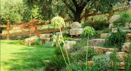 Avere un bel prato verde in giardino