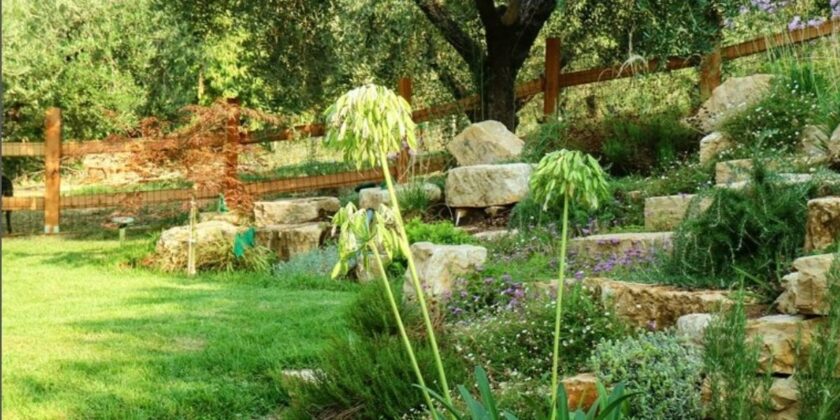 Avere un bel prato verde in giardino