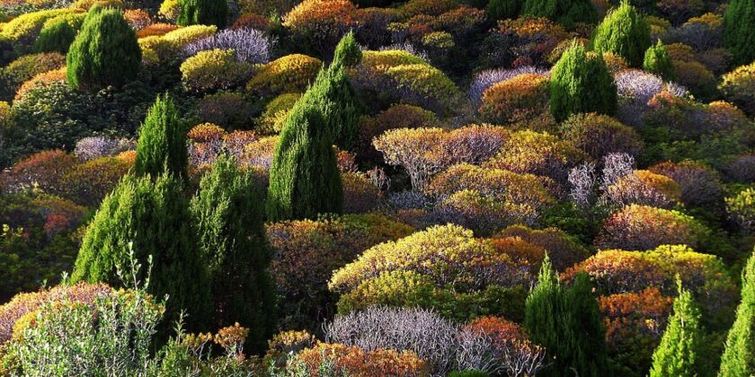 Balconi e giardini mediterranei