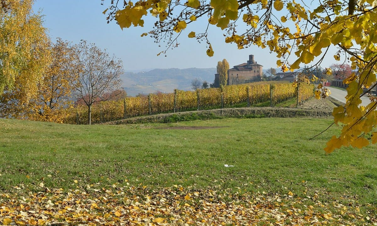 Barolo