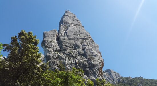 Case al mare anche a 43.000 euro circa a Orosei-cala di Oritzè-proiezionidiborsa.it