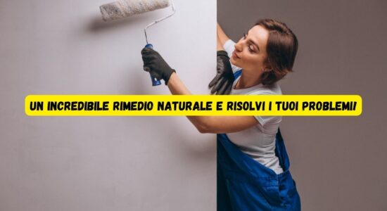 Come sbiancare i muri dalla muffa-proiezionidiborsa.it