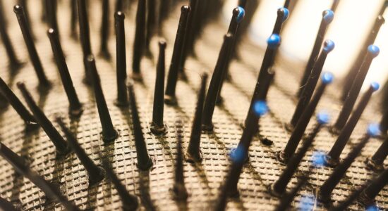Davvero disgustoso quello che si annida nelle spazzole per capelli-proiezionidiborsa.it