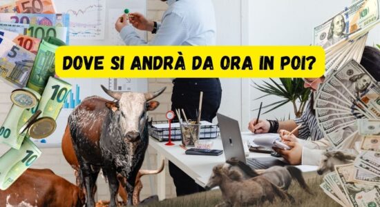 Dove è diretta Wall Street-proiezionidiborsa.it