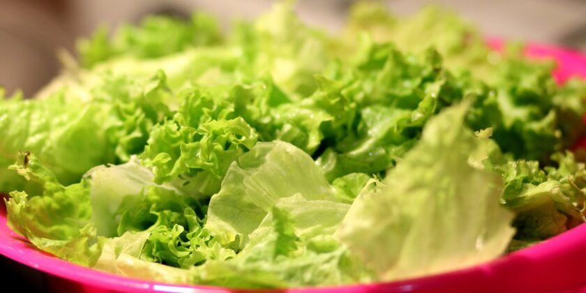 È meglio lavare l'insalata confezionata in busta oppure no-proiezionidiborsa.it