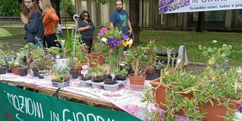 Fiori gratis a Milano