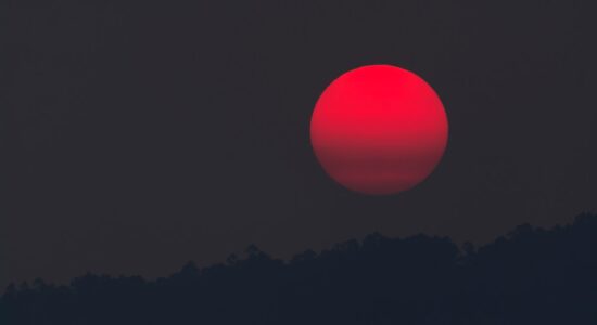 I 3 segni zodiacali più fortunati di giugno