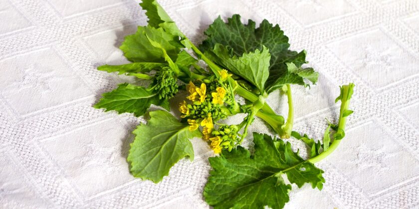 I benefici delle cime di rapa-proiezionidiborsa.it