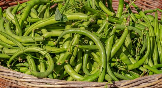 I fagiolini come non li avete mai mangiati-proiezionidiborsa.it
