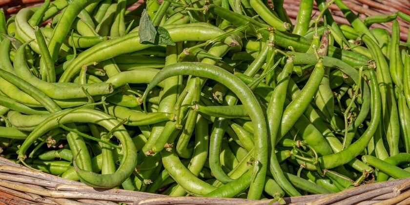 I fagiolini come non li avete mai mangiati-proiezionidiborsa.it