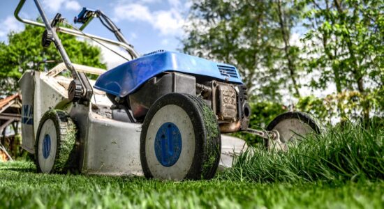 Il trucco dei giardinieri per far sparire le zanzare-proiezionidiborsa.it