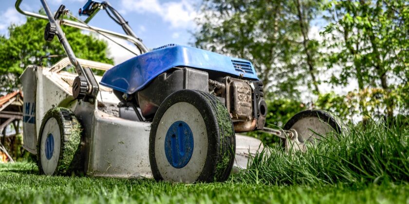 Il trucco dei giardinieri per far sparire le zanzare-proiezionidiborsa.it