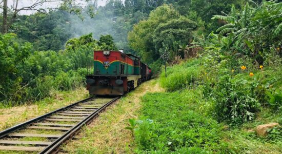 Per viaggiare lontano dalla massa proviamo questo giro in treno