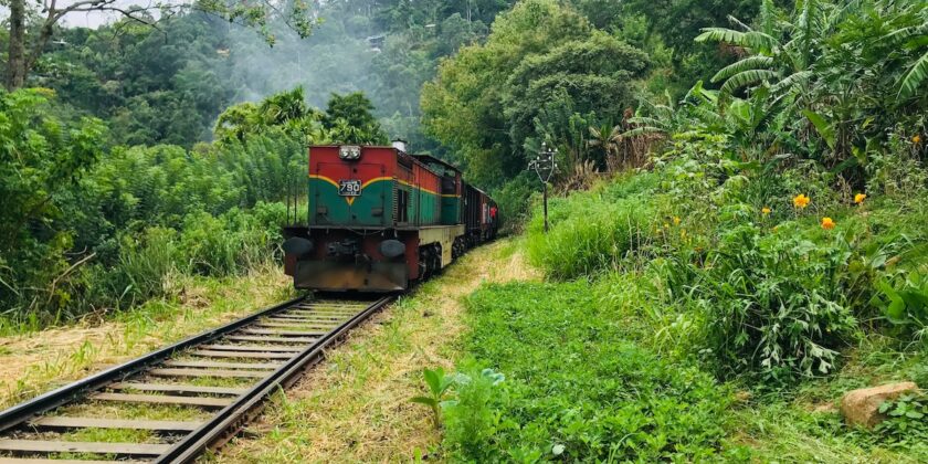 Per viaggiare lontano dalla massa proviamo questo giro in treno