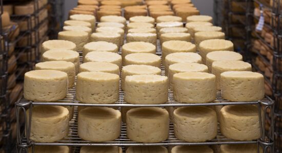Quante volte consumare il formaggio stagionato-proiezionidiborsa.it