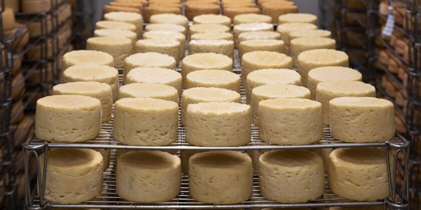 Quante volte consumare il formaggio stagionato-proiezionidiborsa.it