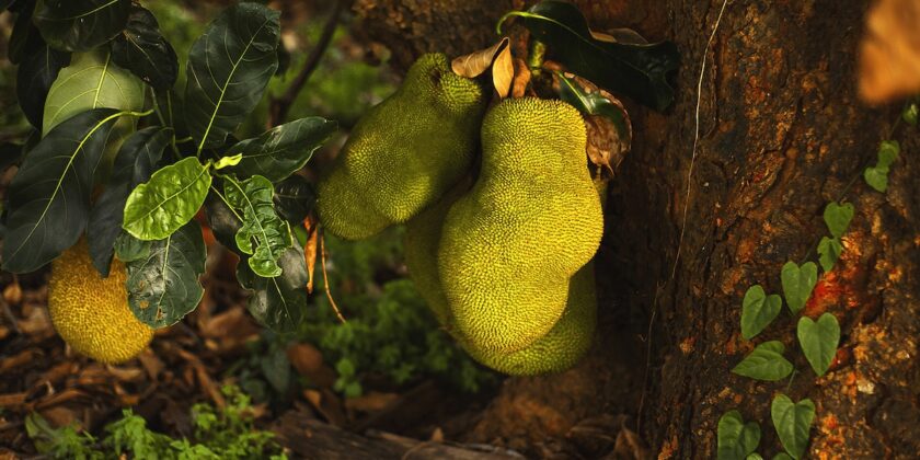 Questo frutto è una miniera di vitamine e antiossidanti
