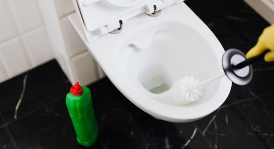 Sbiancare e disinfettare lo scopino del WC