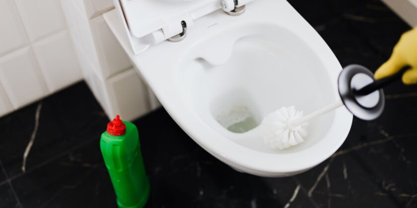 Sbiancare e disinfettare lo scopino del WC