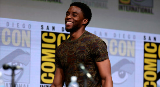 Sintomi del tumore di cui è morto l'attore Chadwick-Boseman-foto da wikipedia